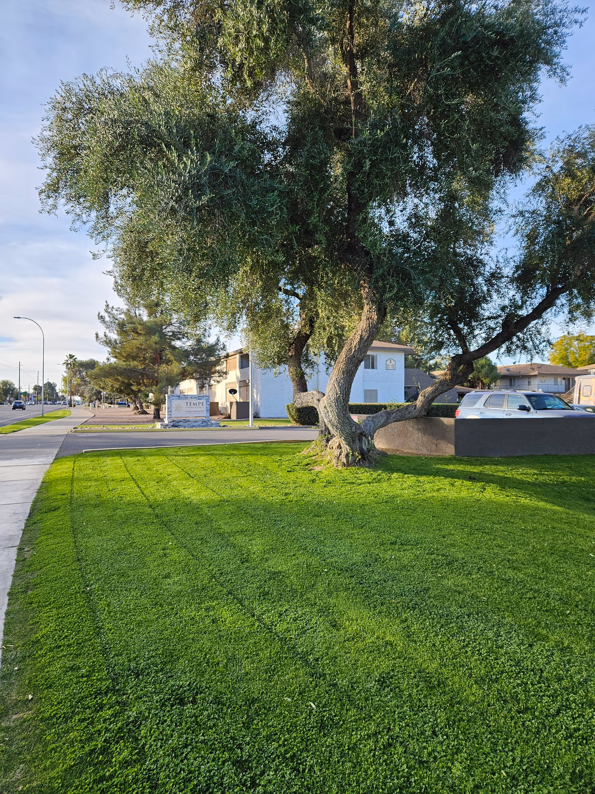 Photo 6 of Desert Marigold Senior Living of Tempe