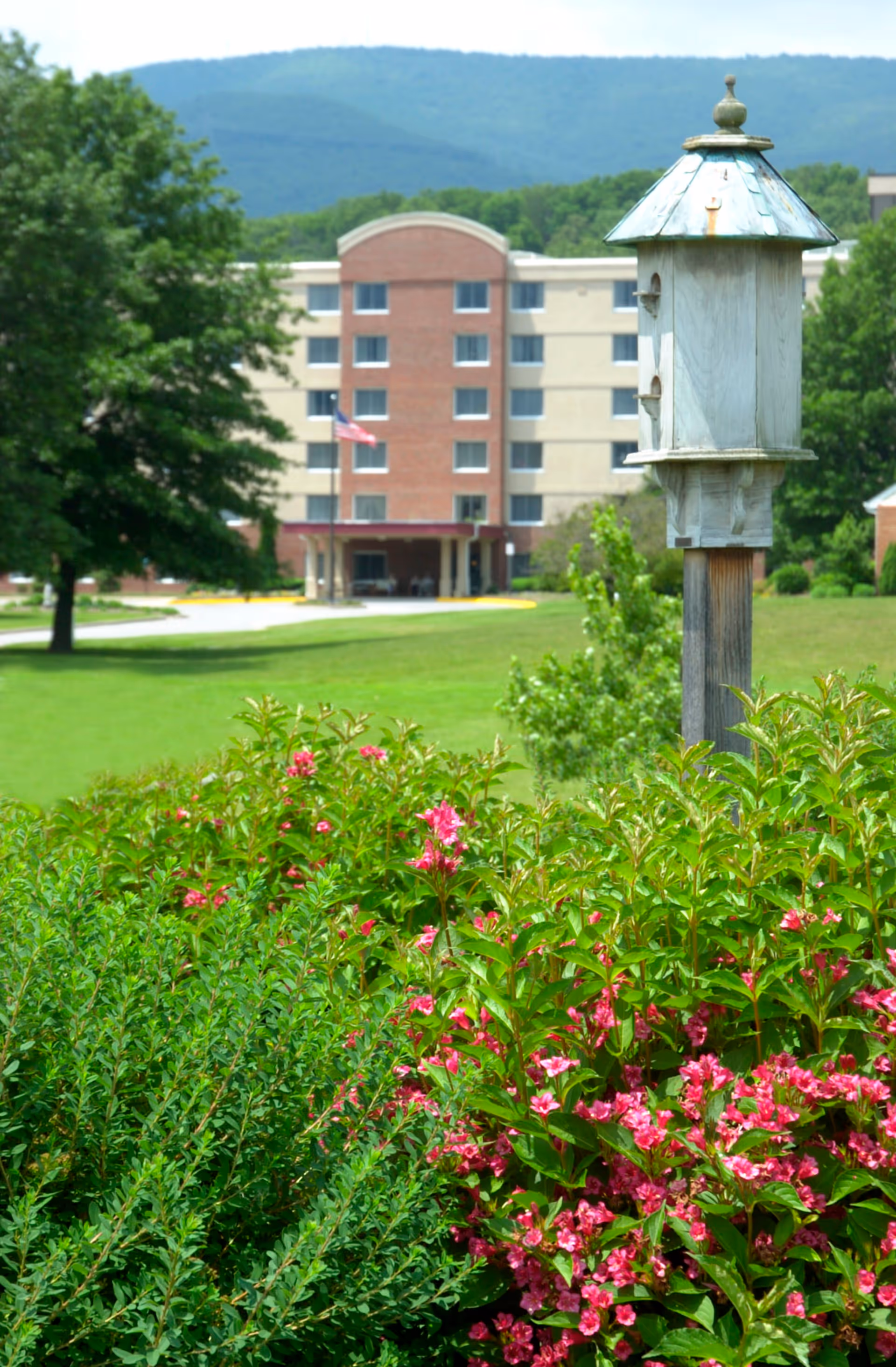 Photo 3 of Richfield Living