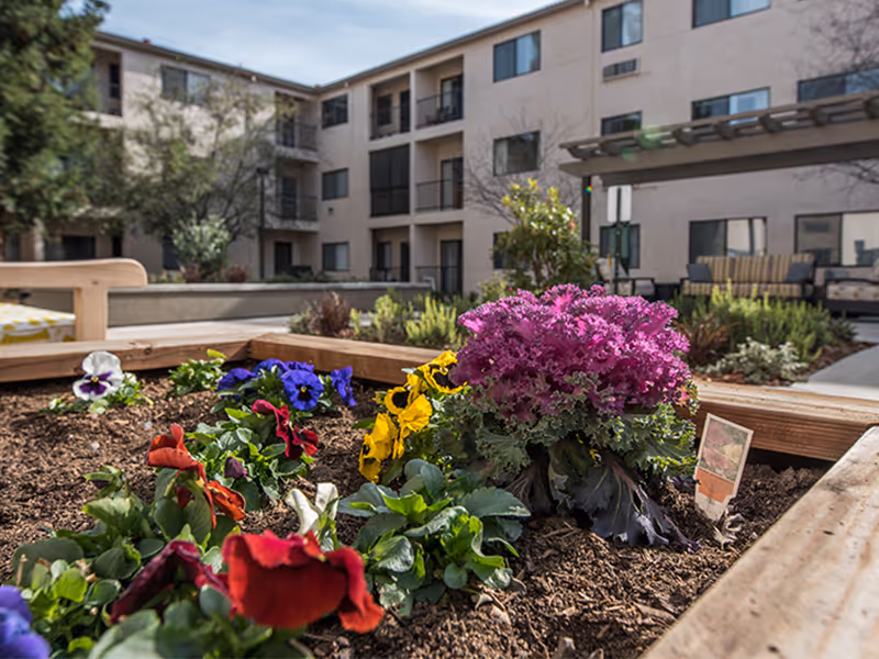 Photo 7 of Terraces of Roseville