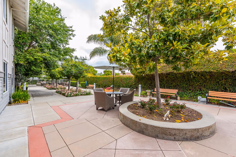 Photo 4 of Pacifica Senior Living Union City