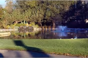 Photo 7 of Meth-Wick Community