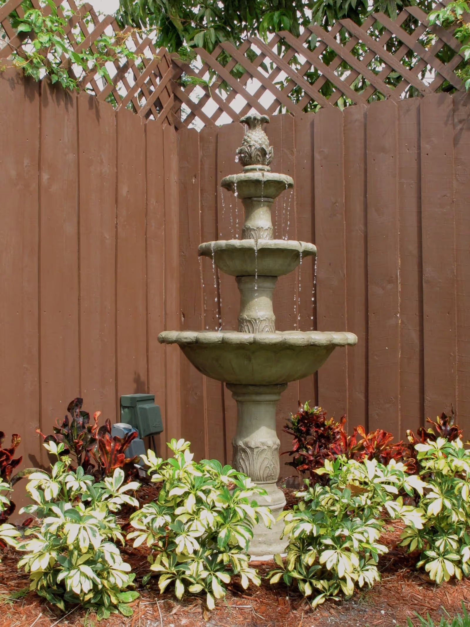 Photo 3 of My New Oasis