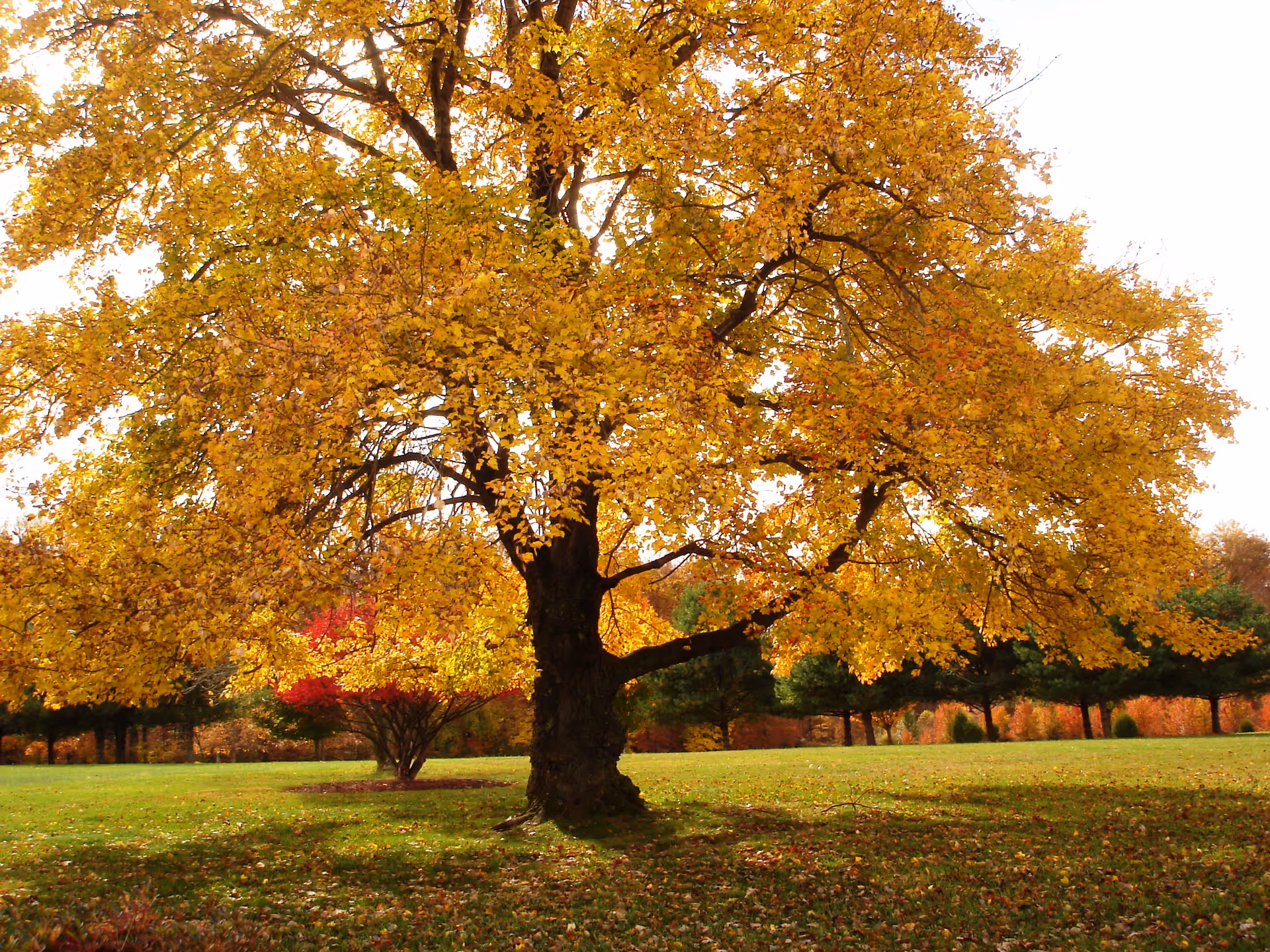 Photo of Brooke Grove Retirement Village