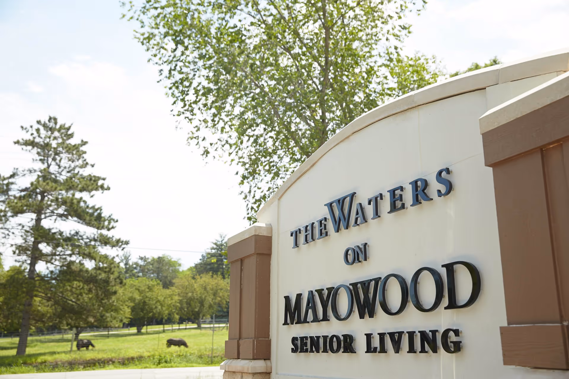 Photo 4 of The Waters on Mayowood