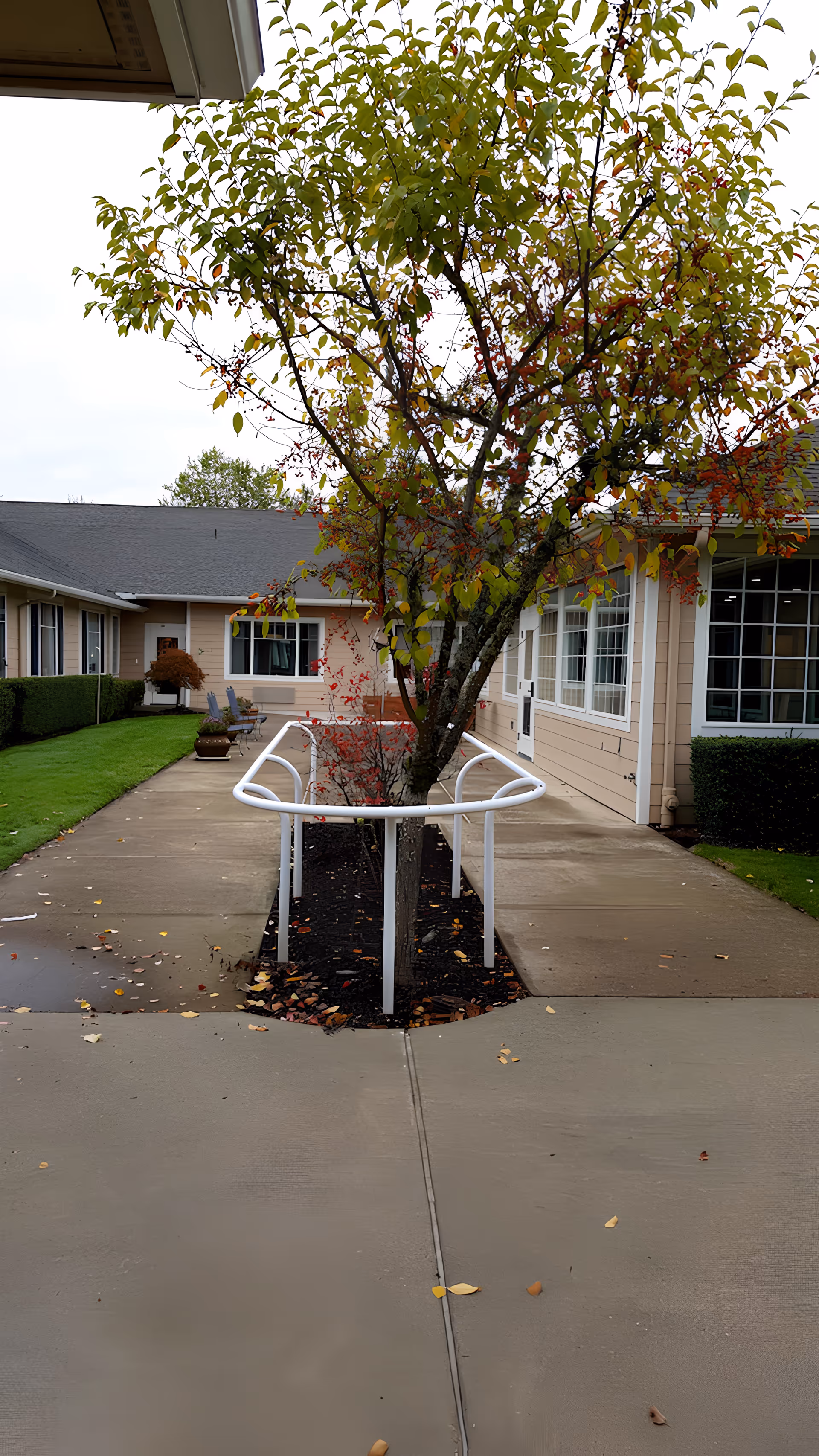 Photo 20 of McMinnville Memory Care