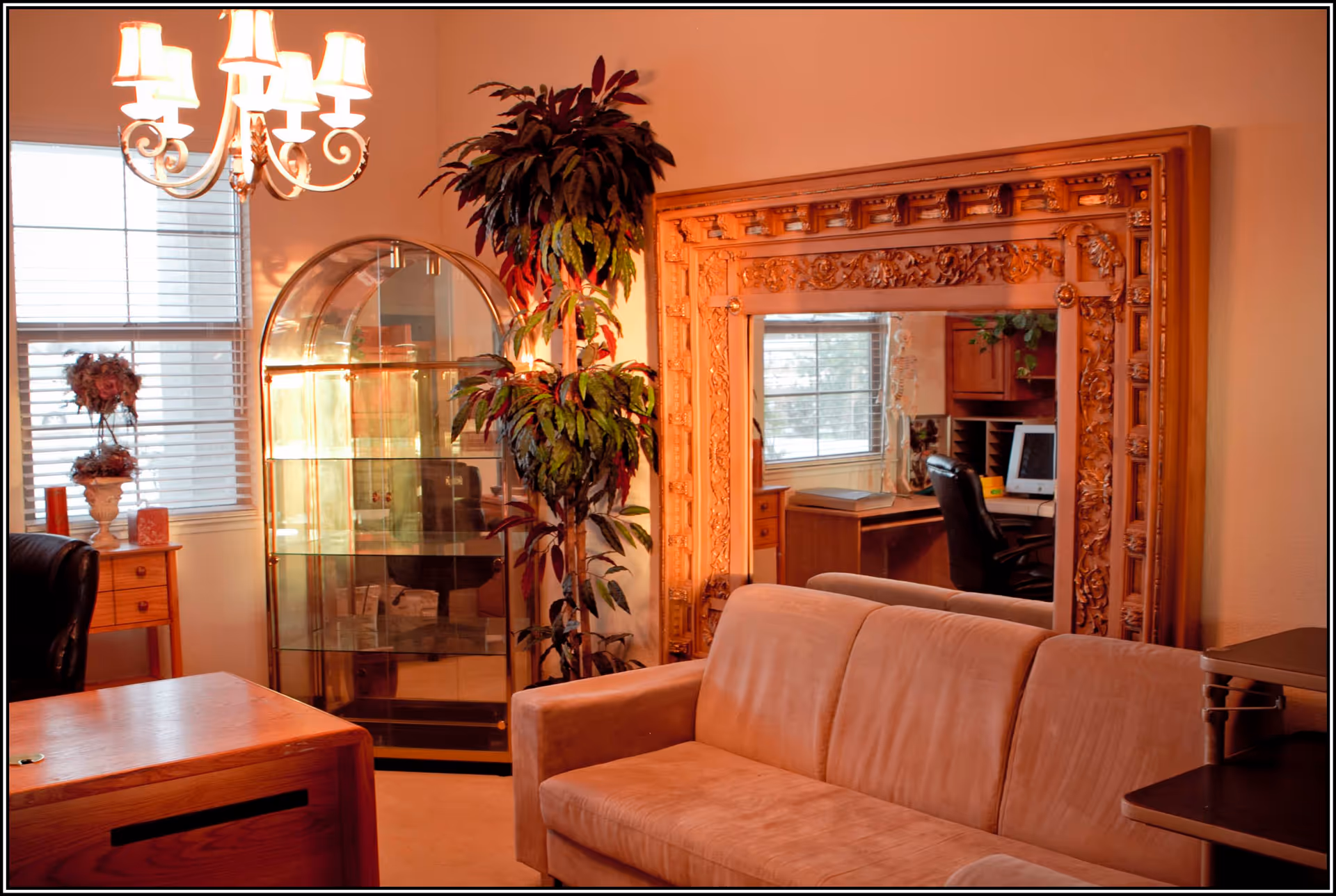 Photo 6 of Bird Of Paradise Manor