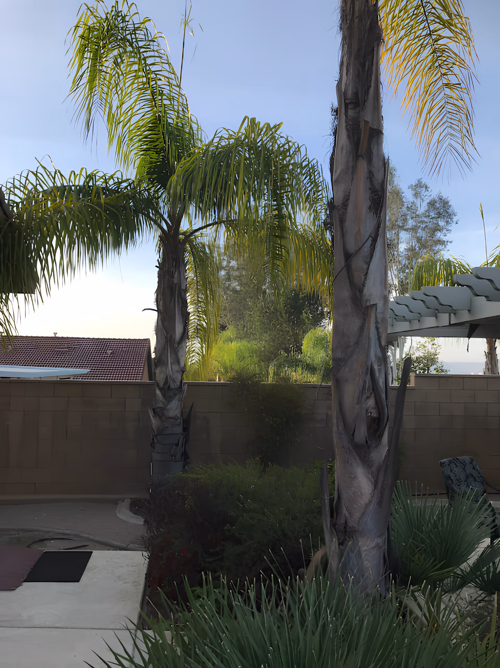 Photo 29 of Sarahs Great Life - Wildomar, California