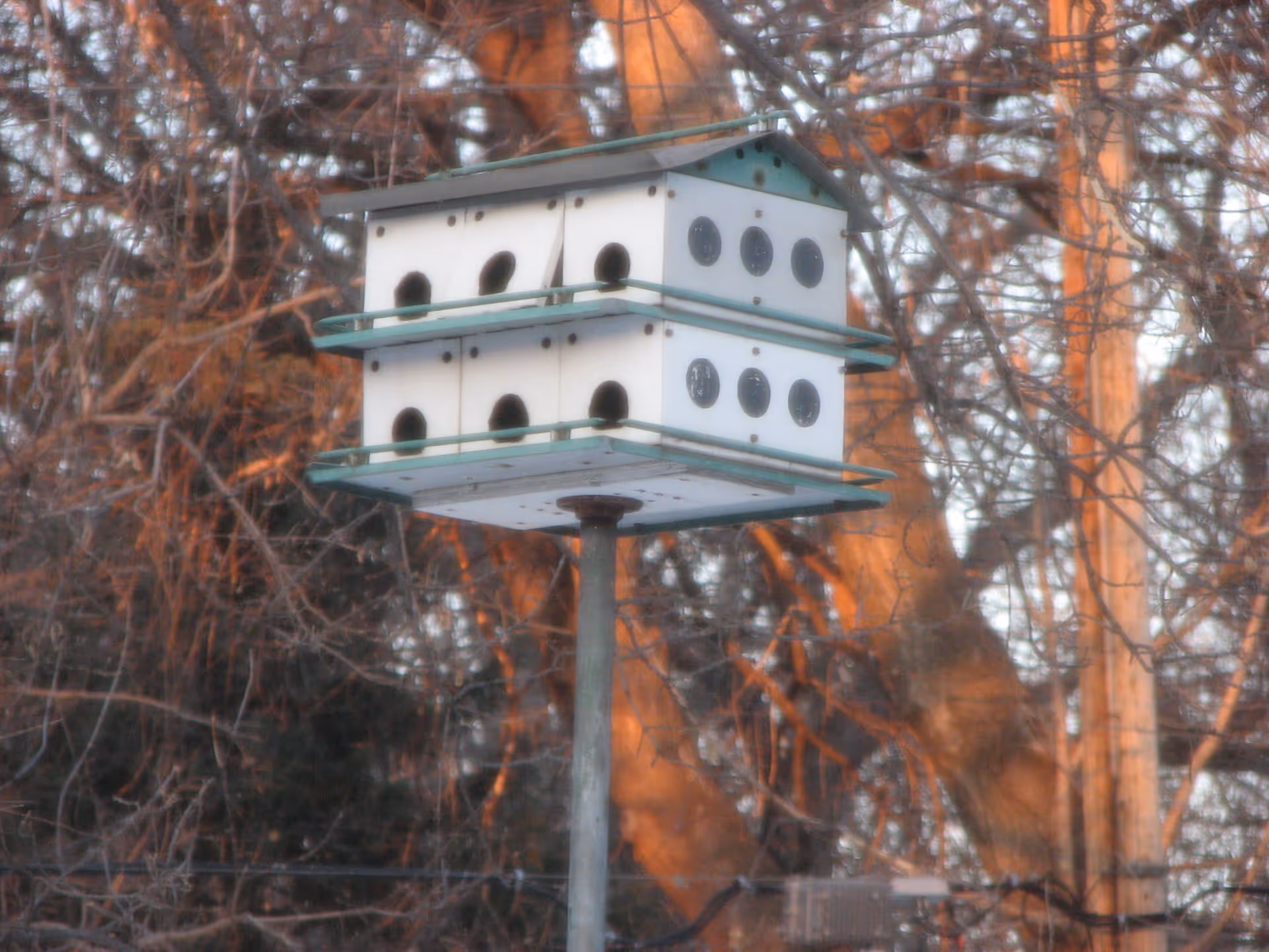 Photo 14 of Adagio Manor Assisted Living