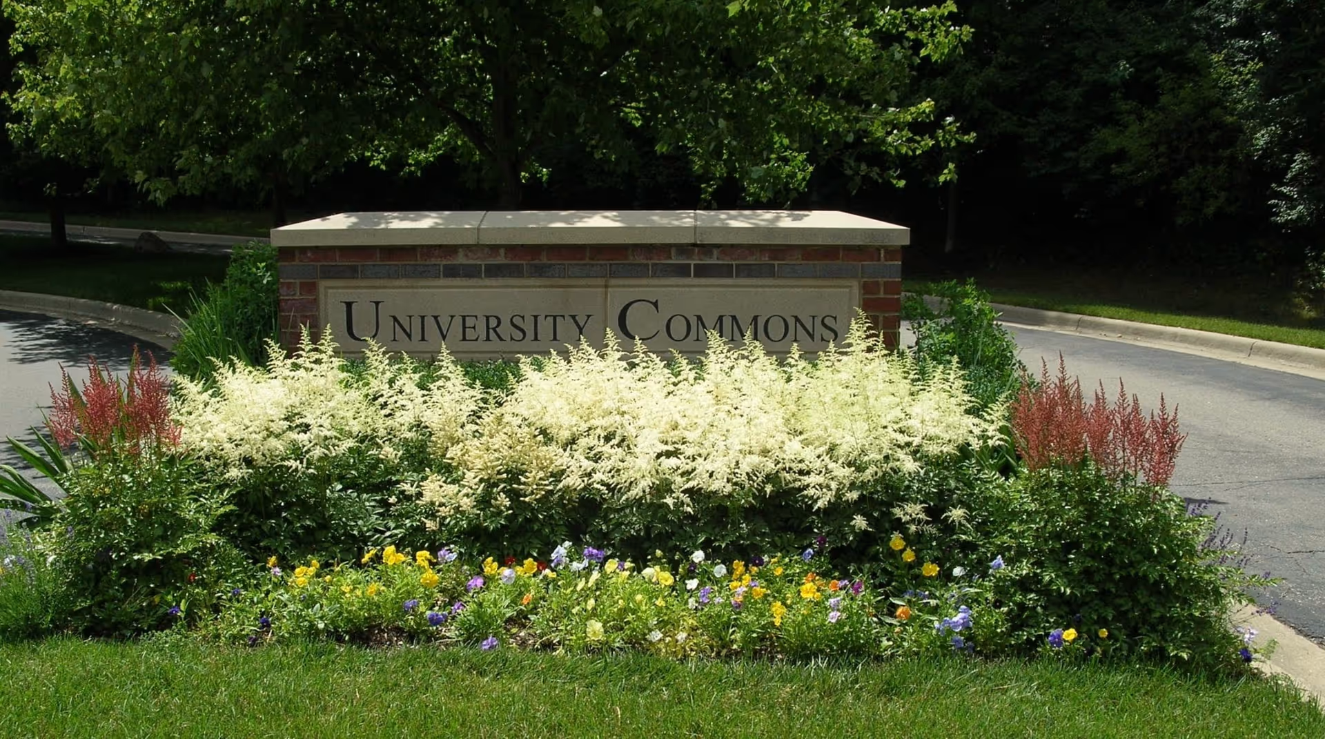 Photo 15 of University Commons