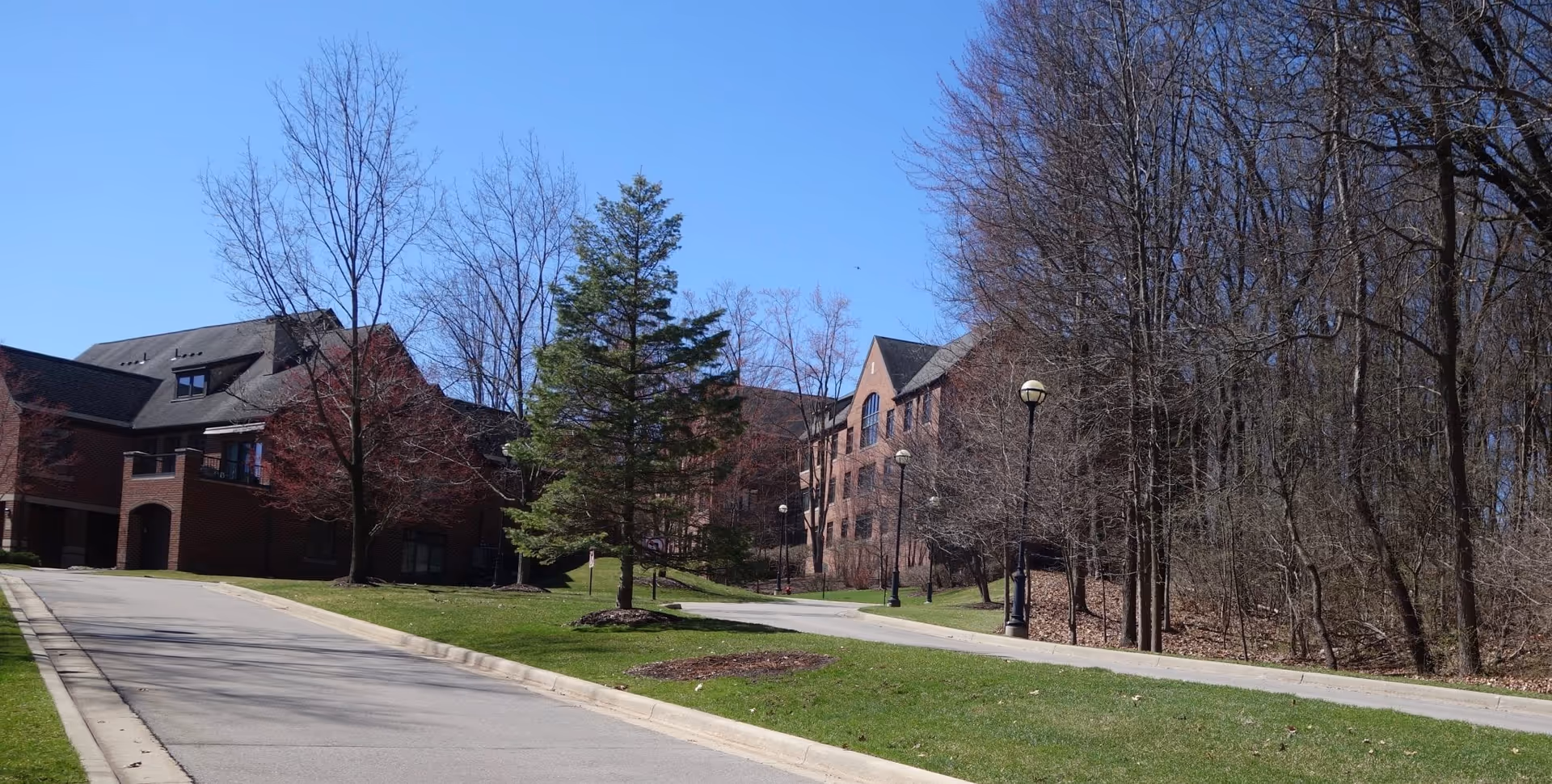 Photo 13 of University Commons