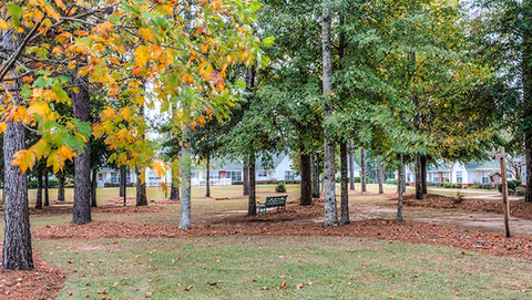 Photo 2 of The Terrace at Grove Park