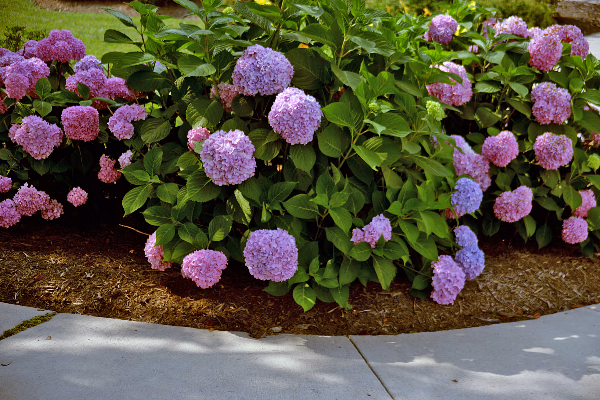 Photo 8 of Marian Assisted Living