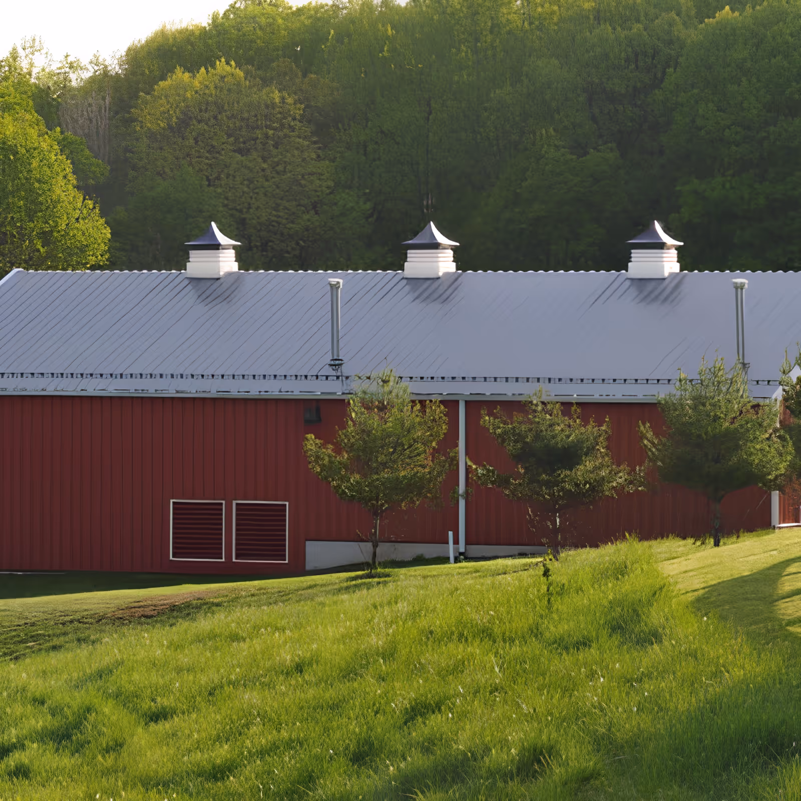 Photo 5 of Mercy Ridge