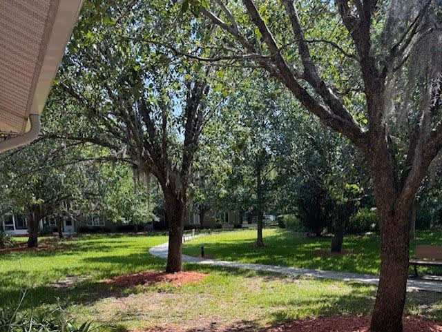 Photo 8 of Augustine Landing