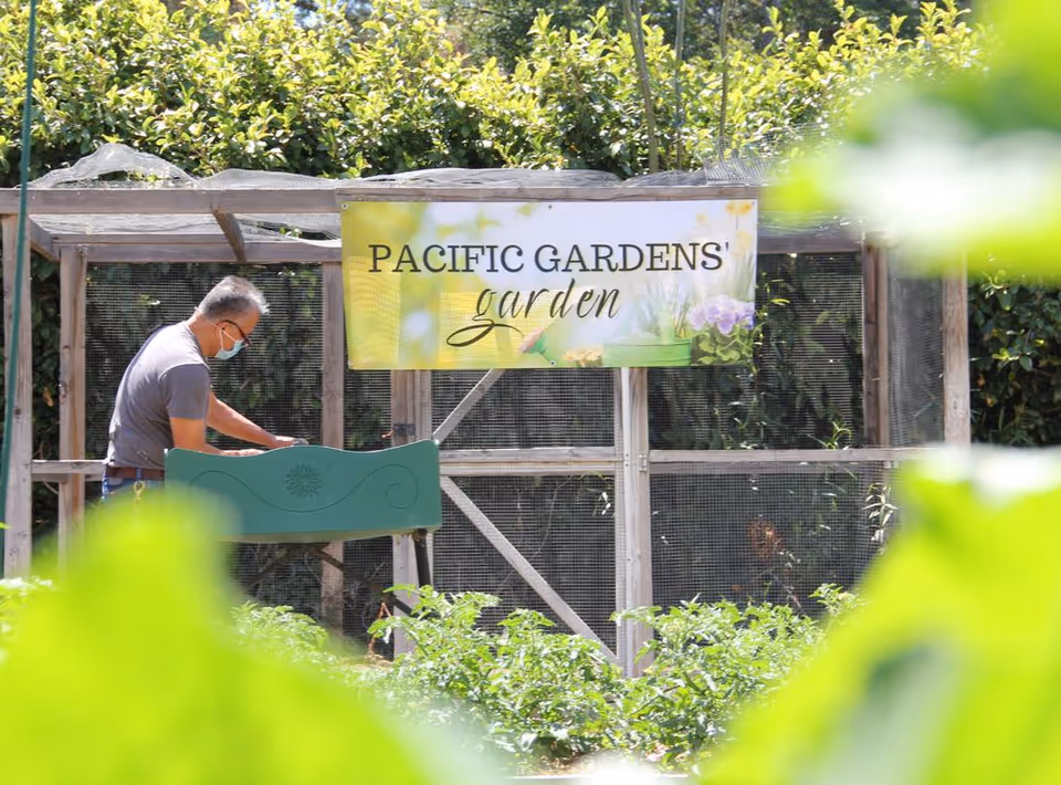 Photo 6 of Pacific Gardens