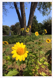 Photo of Country Gardens Assisted Living