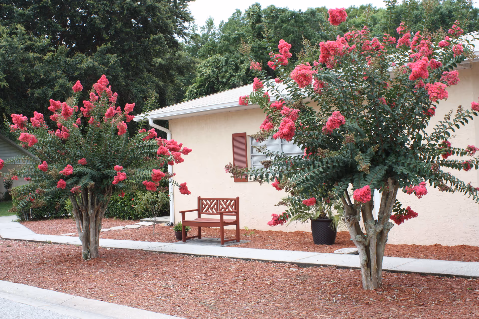 Photo 8 of The Cove at Tavares Village
