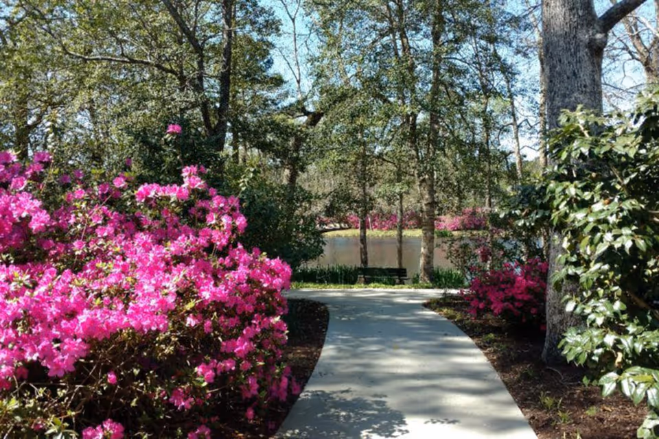 Photo 7 of Porters Neck Village