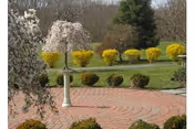 Photo 2 of St Johnland Nursing Center