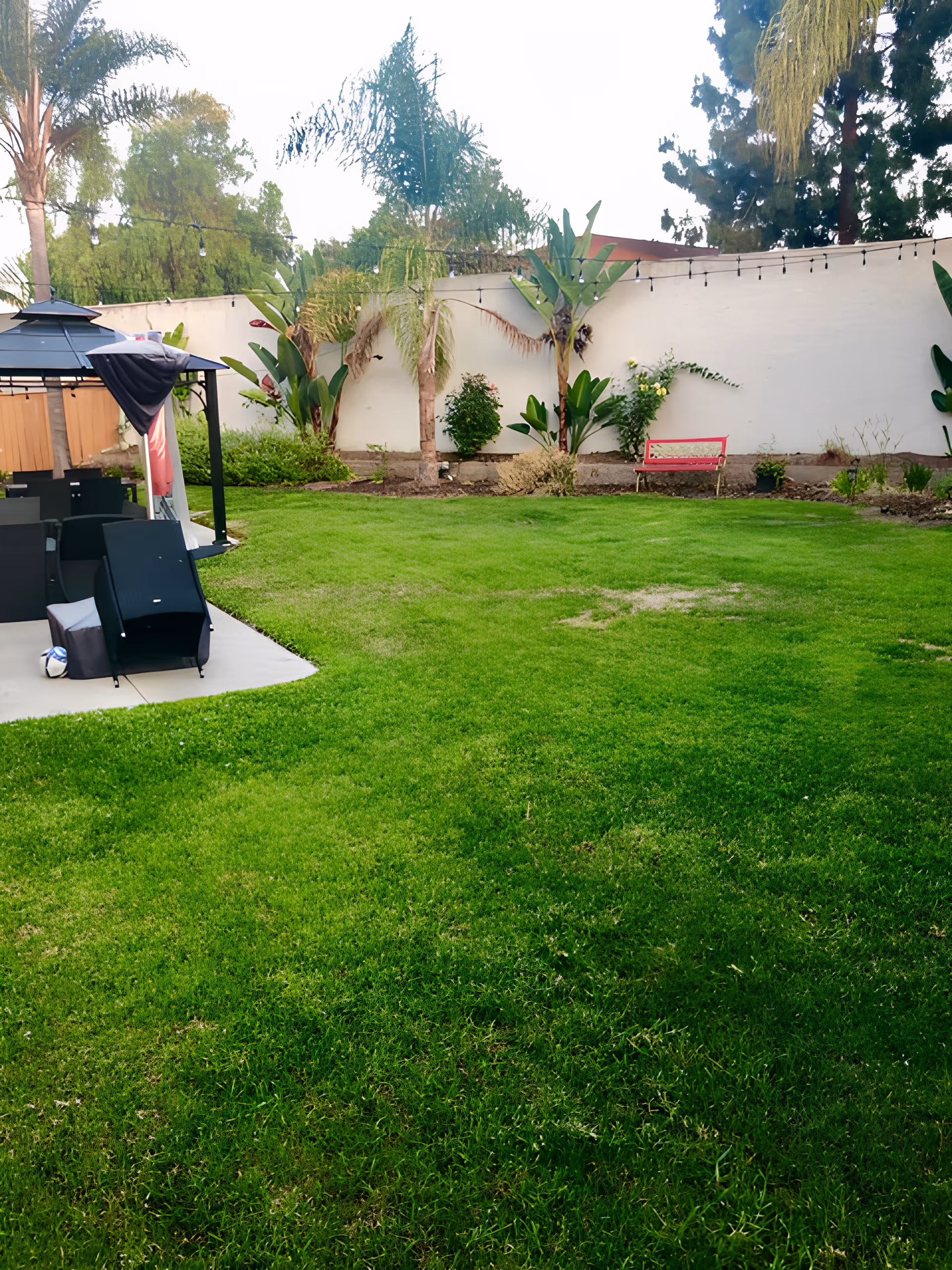 Photo 2 of Angel's Home Care