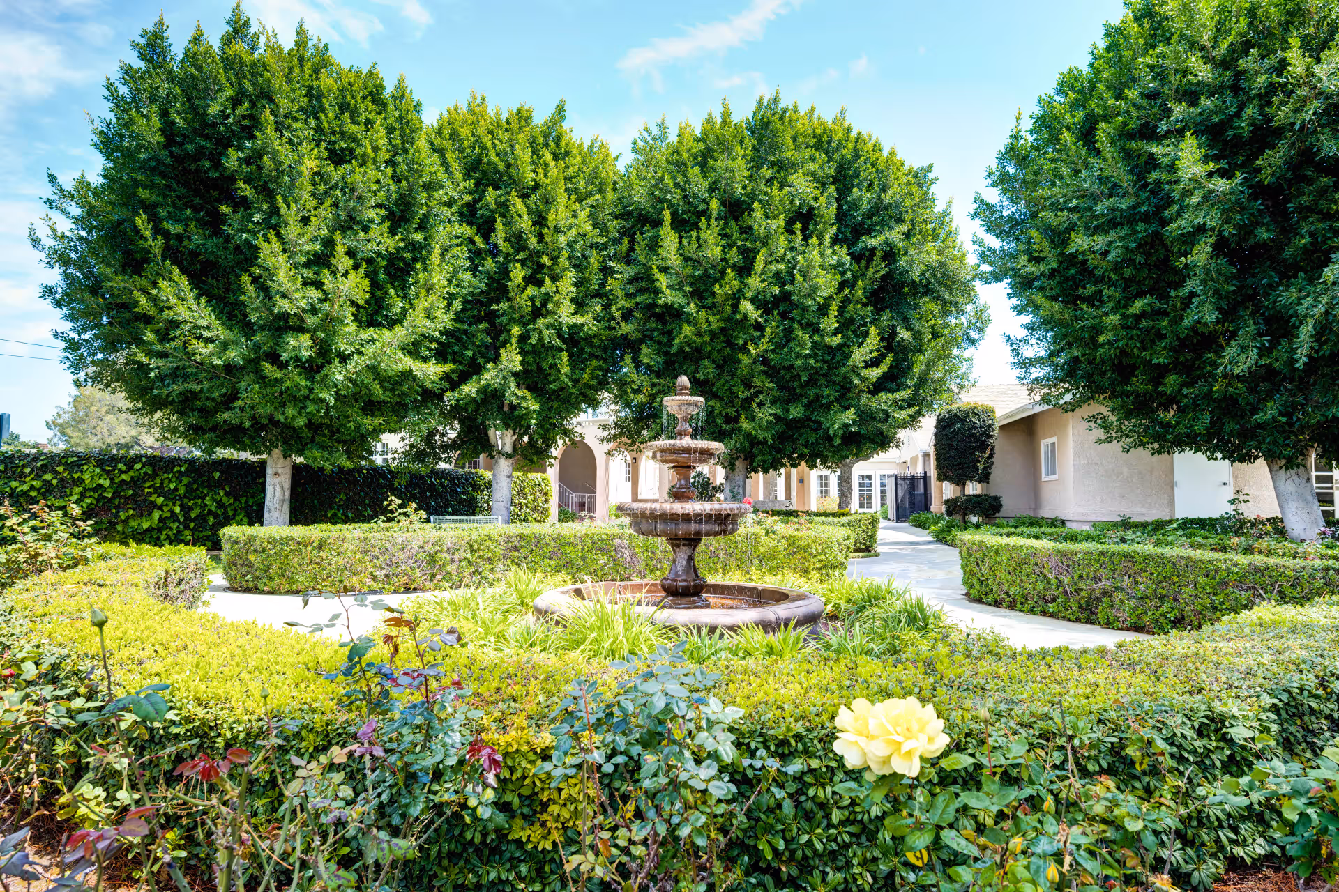 Photo 2 of Ivy Terrace Fullerton Memory Care