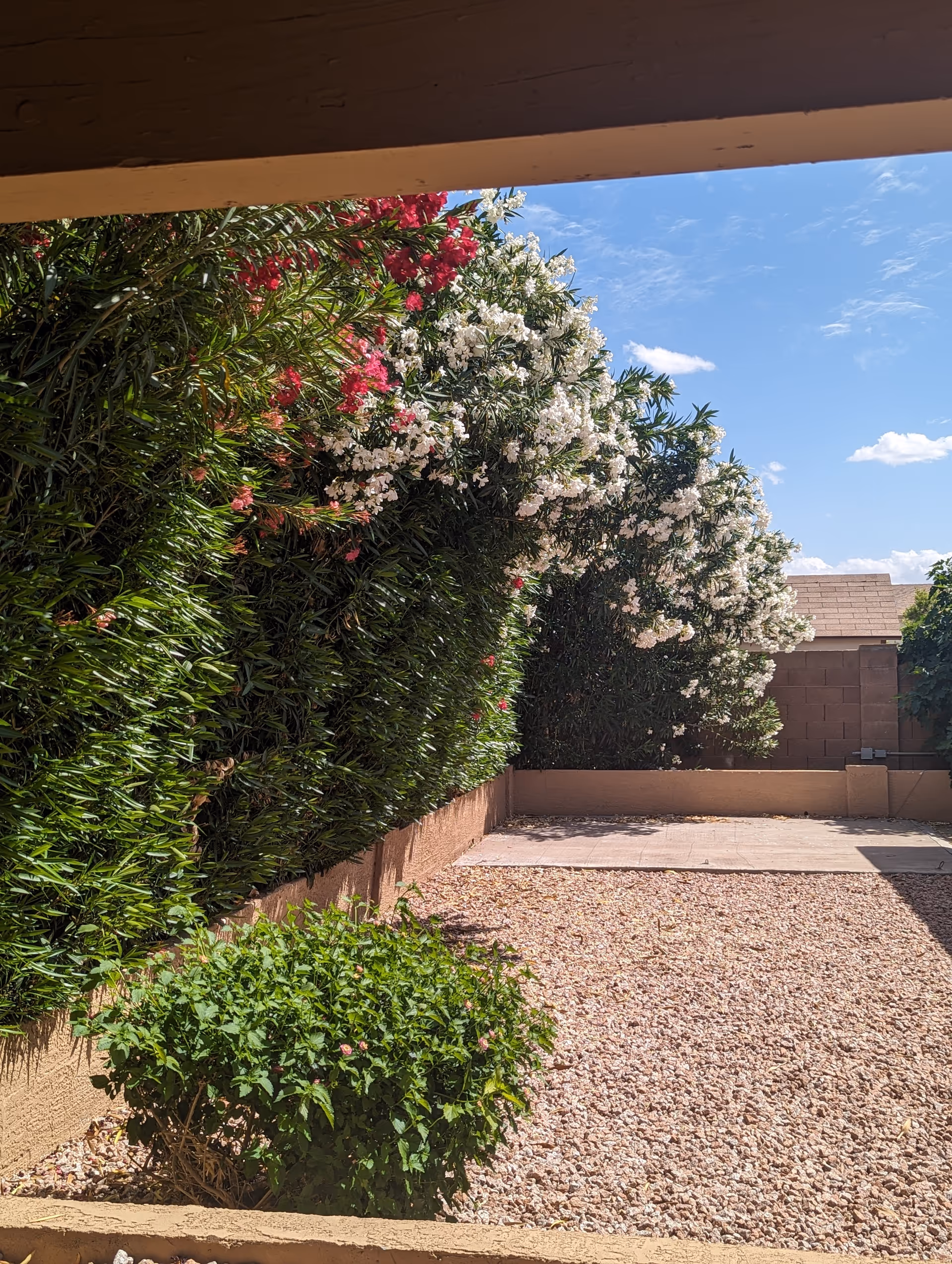 Photo of Serene Haven Assisted Living