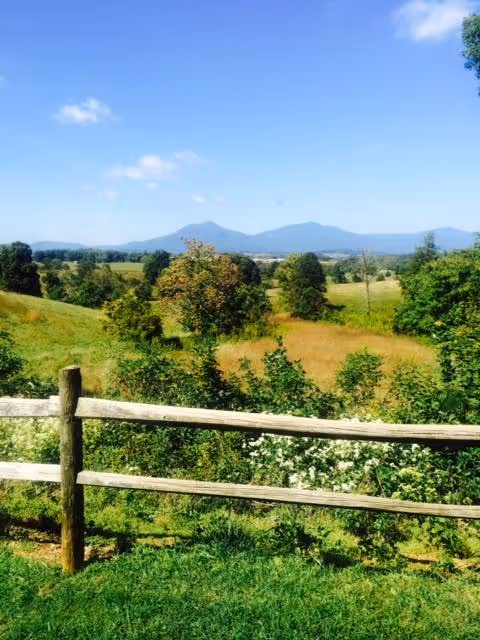 Photo 7 of Carriage Hill Retirement